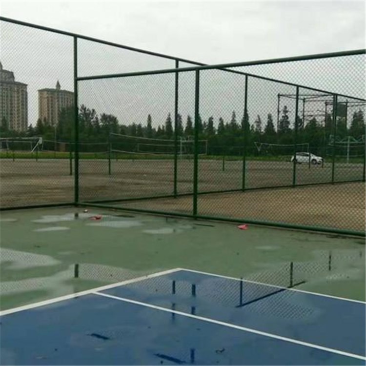 體育圍網安裝案例展示圖片4 體育圍網安裝案例展示圖片4