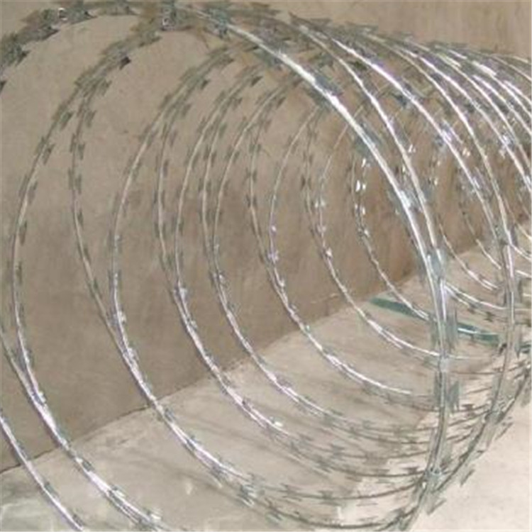 監獄鋼網墻刀片刺繩案例展示圖片2 監獄鋼網墻刀片刺繩案例展示圖片2