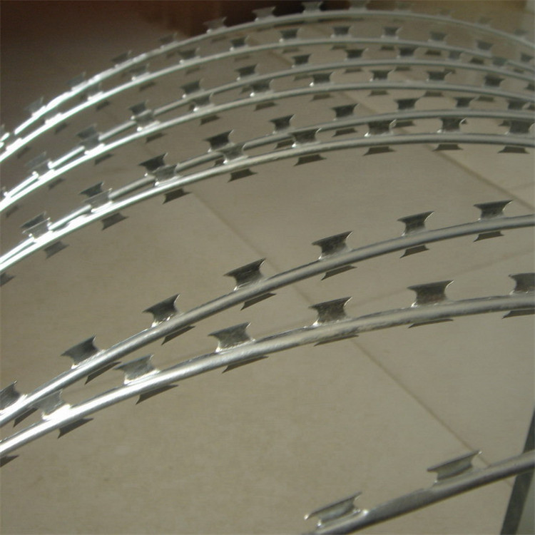 刀刺網(wǎng)案例展示圖片1 刀刺網(wǎng)案例展示圖片1