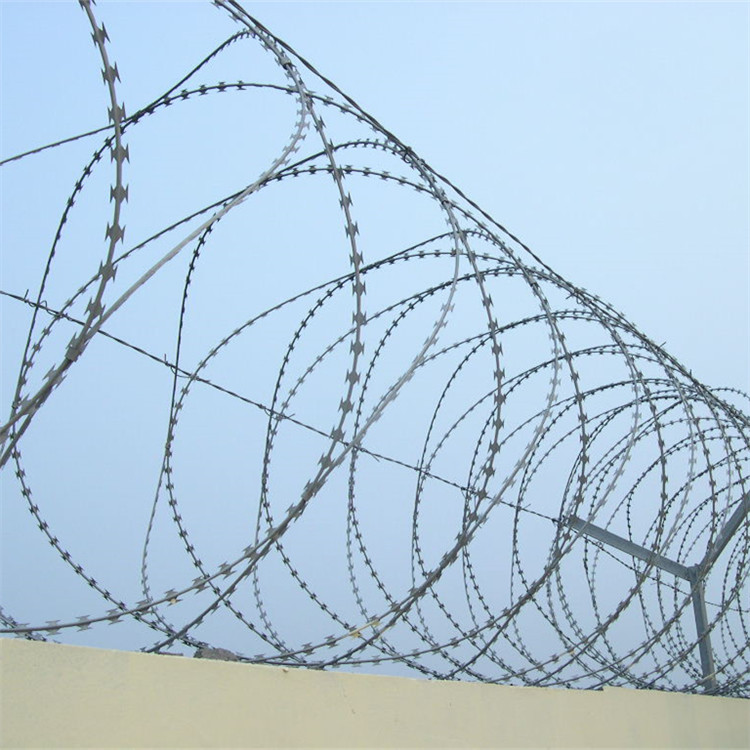 刀片刺網案例展示圖片1