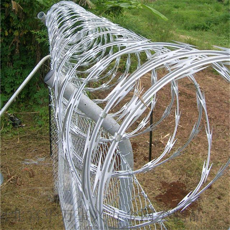 刀片刺網案例展示圖片2