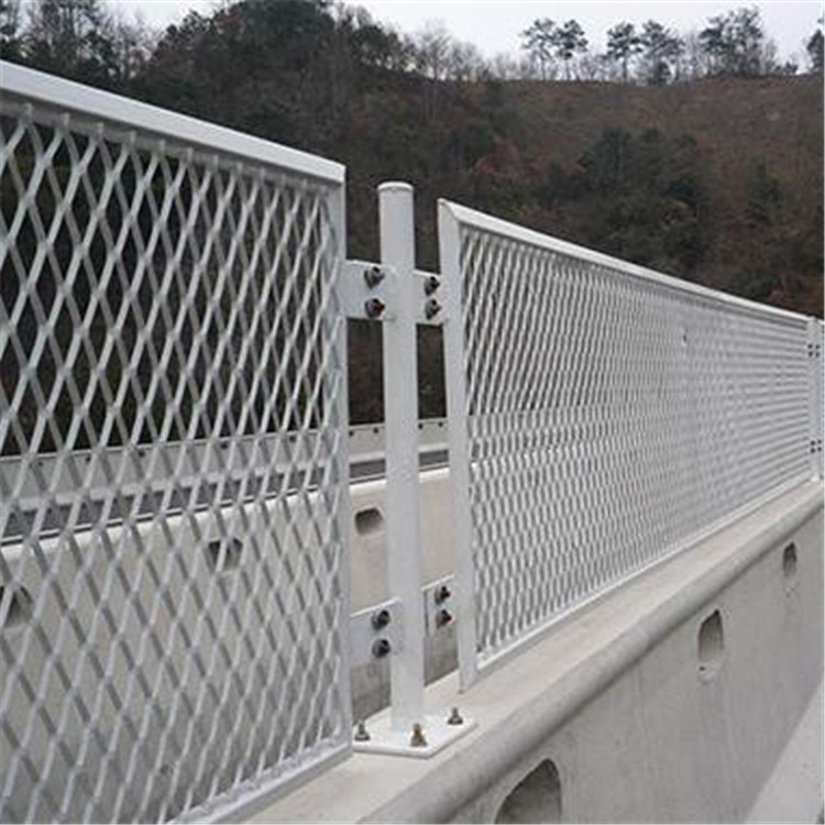 高速防眩網案例展示圖片4 高速防眩網案例展示圖片4