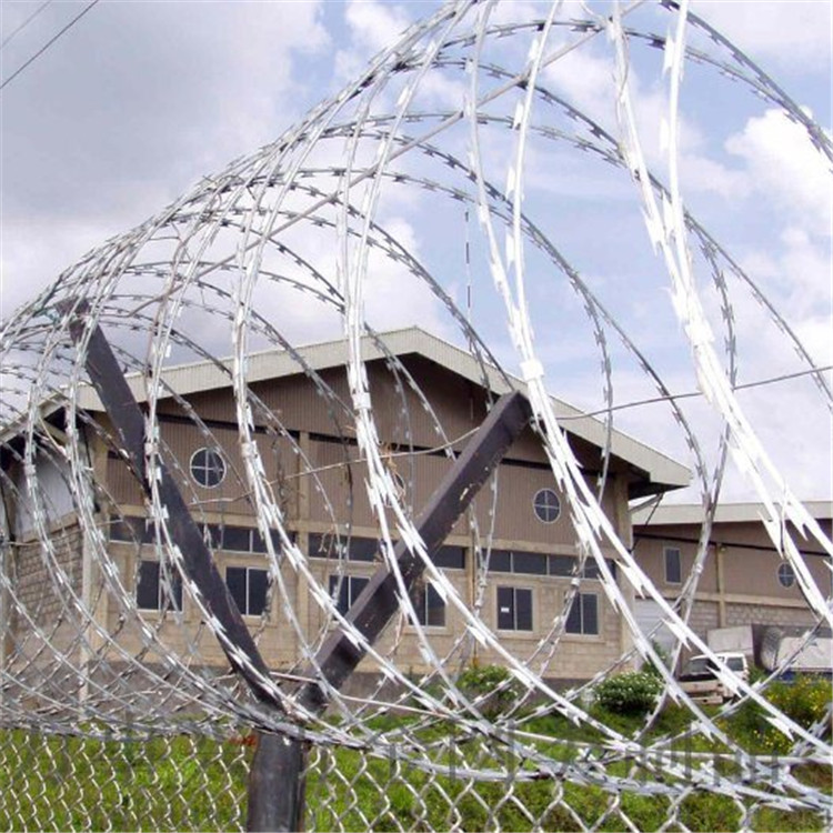 不銹鋼刀刺網案例展示圖片2